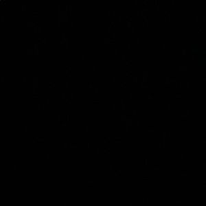 Meet your Posher, Fred